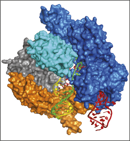 CRISPR3