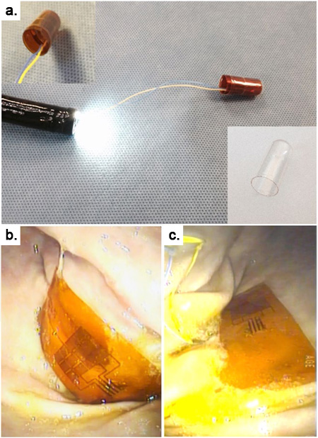 Piezoelectric PZT