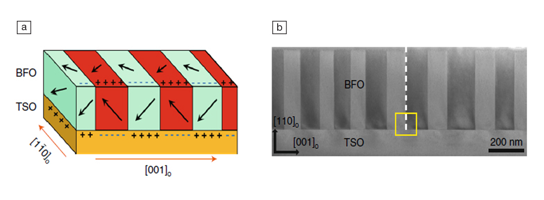 Complex oxide cross section- Figure 1