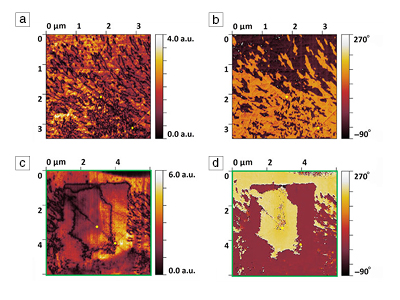 Ferroelectric crystal glass