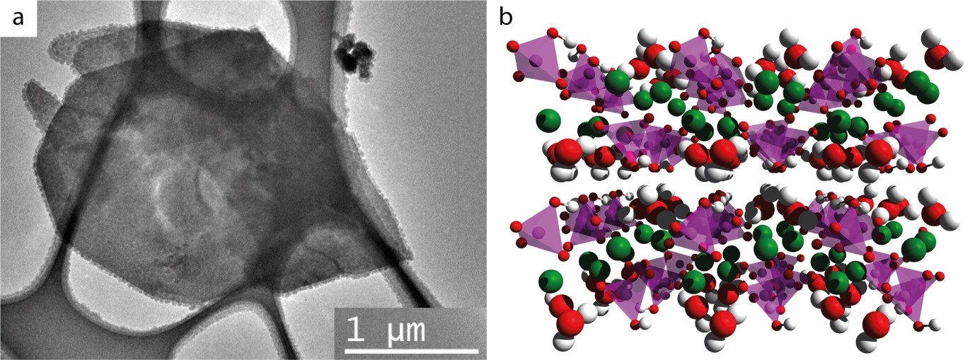 Newly synthesized_right-side-image