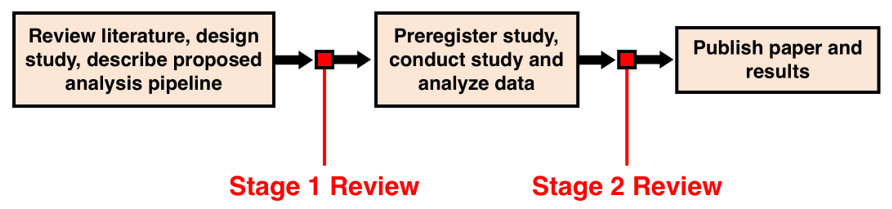 Visual representation of the reviews stages for L&C Registered Reports