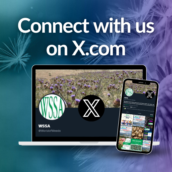 WSSA Connect with us on X