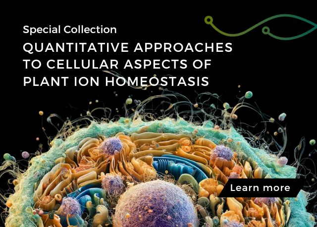 Quantitative Approaches to Cellular Aspects of Plant Ion Homeostasis